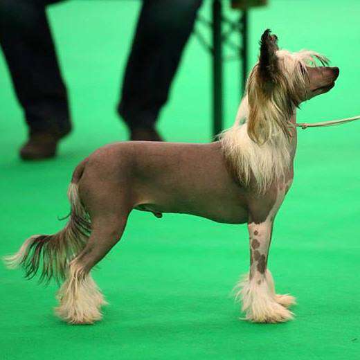 Keep In Touch of Angel's Legacy at Casacavallo