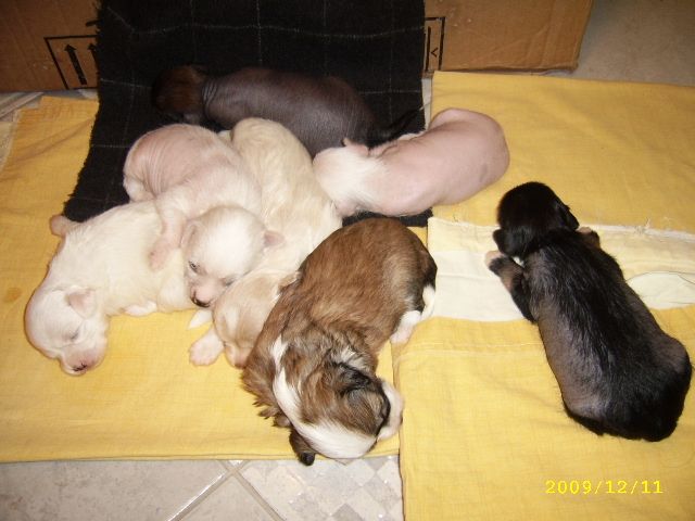 Picture