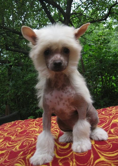 Picture