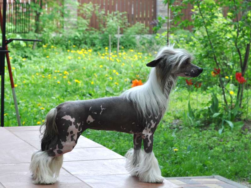 Zholesk Not Gonna Get Us