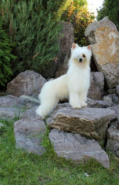 Via Della Seta Gloss and Glory