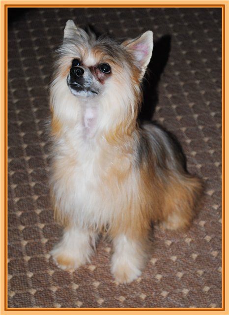 Rus Lorens Tea Leoni