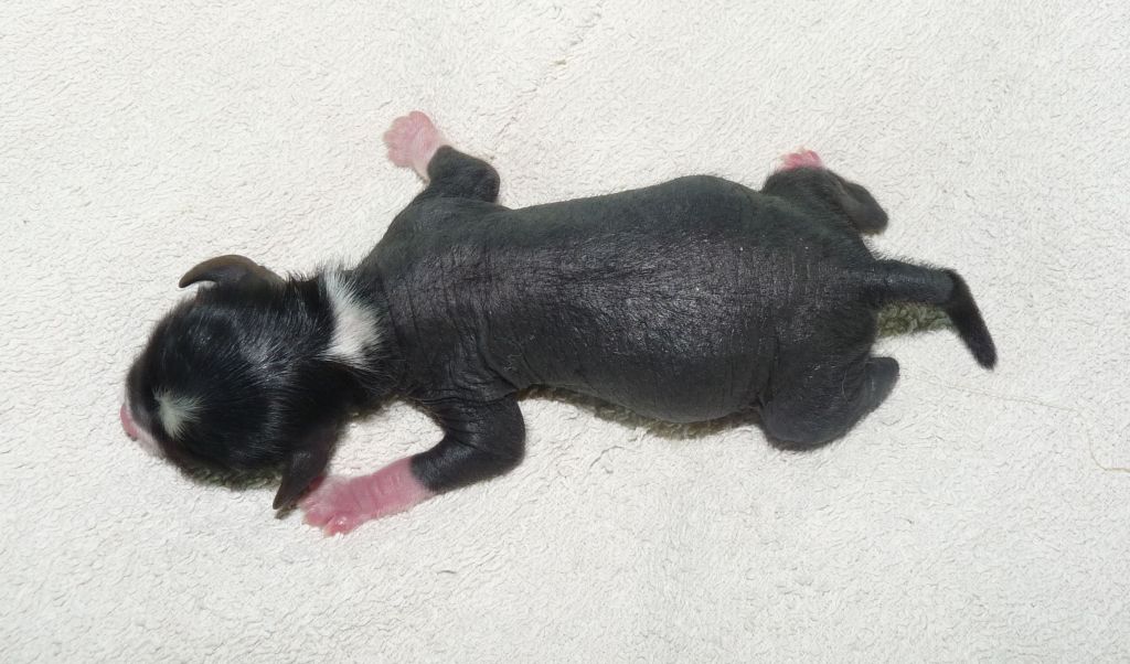 Picture
