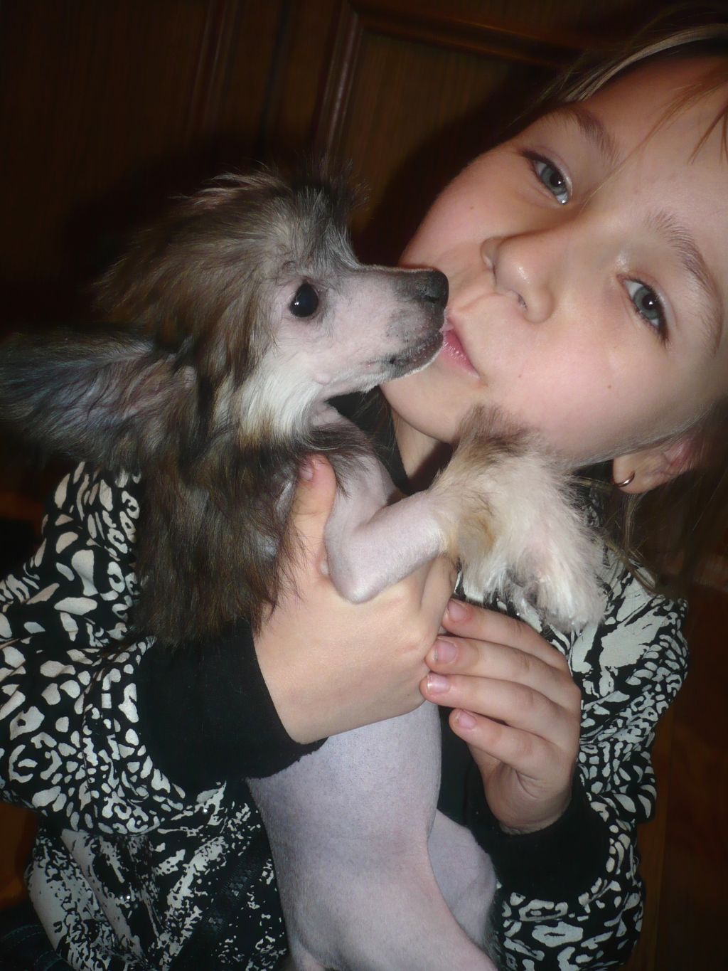 Oks Company Genelia D'Souza 