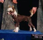 Sunberry's Special Edition