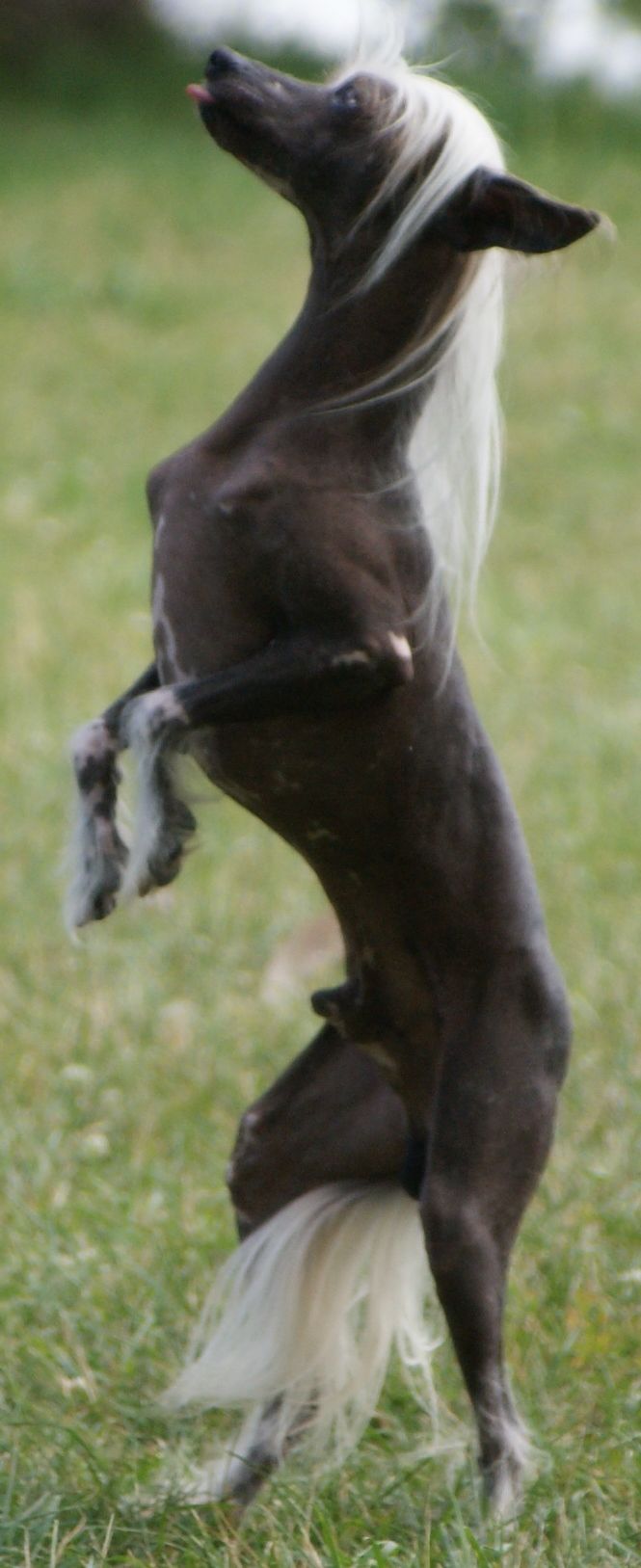 Dokkum Above The Clouds
