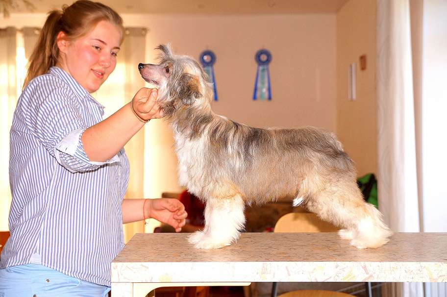 Grand Sunlife  Shry Lakshmi