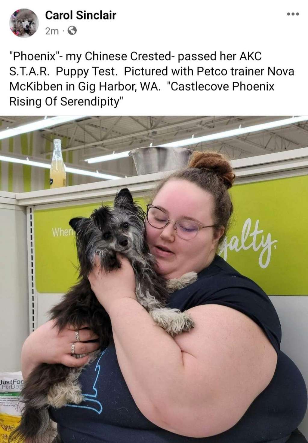 Castlecove Phoenix Rising of Serendipity