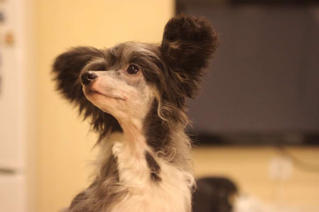 Landkris All Things Are Possible