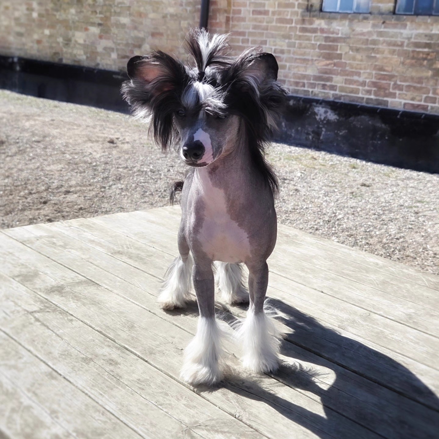 EXxiino's Holidays In Fiji