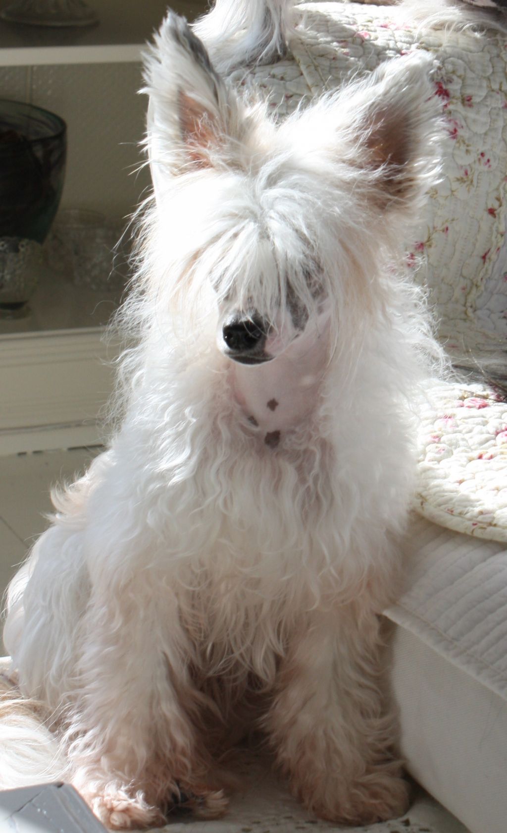 Reject's Eleventh Exclusive Uranus