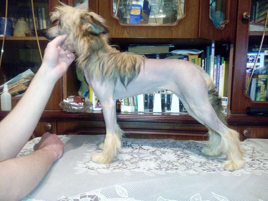 Kristal Yaniry Almira