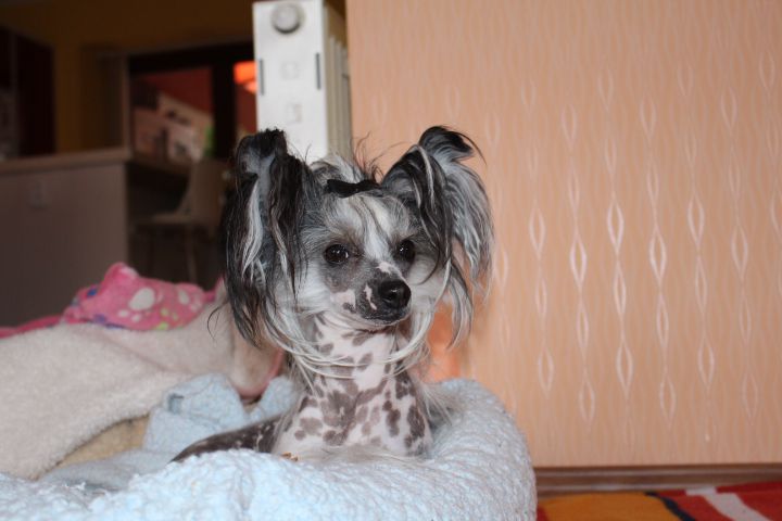 Picture