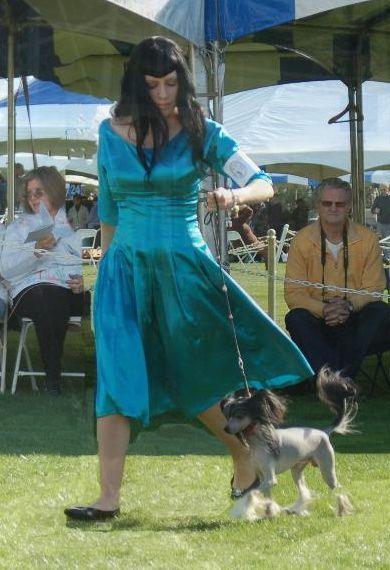 Holliwould Gotcha Root of All Evil