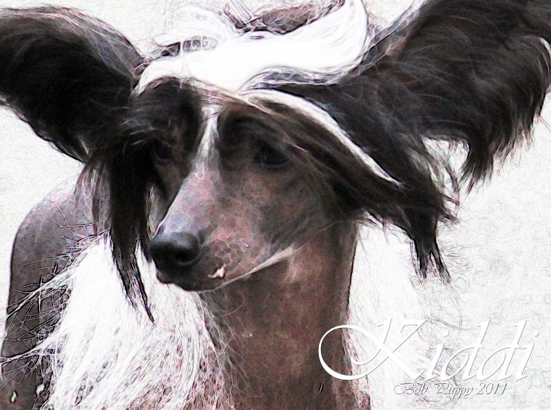 Quiincharme's Glam My Days Always