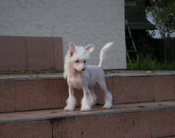 Picture