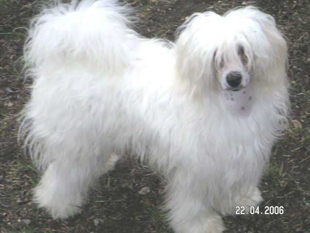 Picture