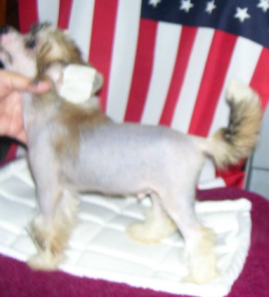 Spiritual From Here to Eternity