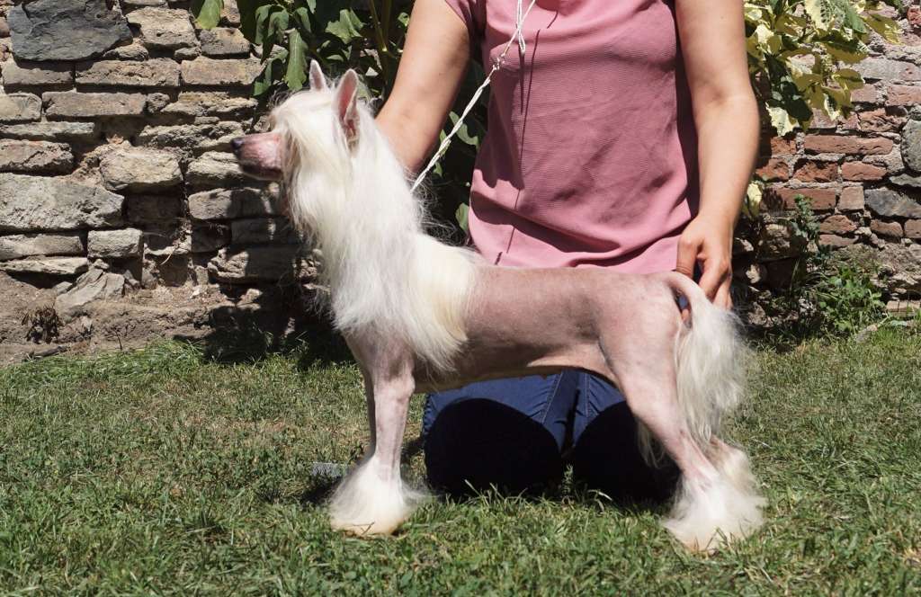 Celine z Valdorfskych lesu