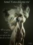 Killing Me Softly Princes de la Roses Chinese Crested