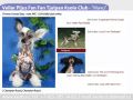 Vellar Pljus Fan Fan Tjulpan Ksolo Club Chinese Crested