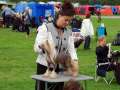 Cool Crowd's Absolute Hattori Hanzo Chinese Crested