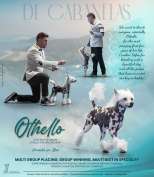 Little Dog Of Dream Othello The Spectacular