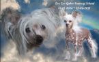 Zsa Zsa Gabor Fantasy Island Chinese Crested