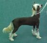 WK's Buttermilk Biscut Of SmokeMtn Chinese Crested