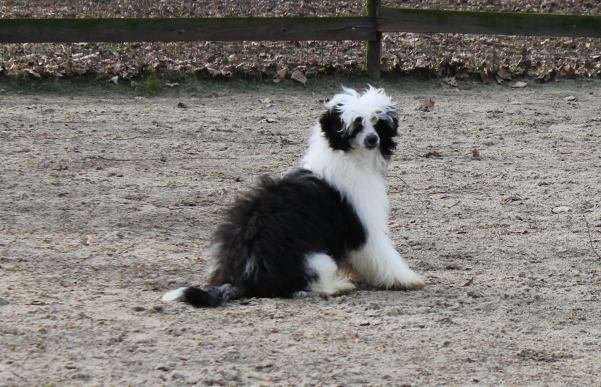 Nell Top Model De Rama