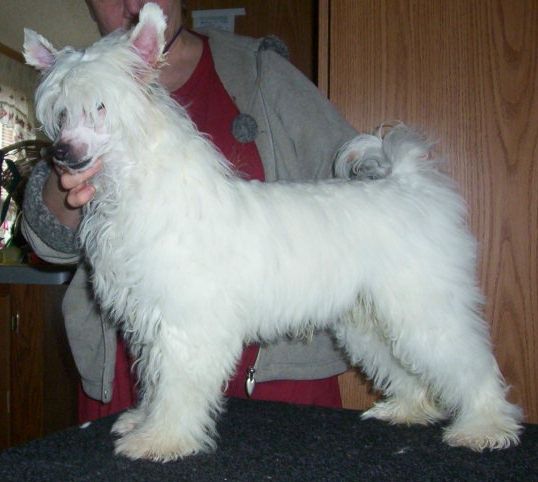 EZA's The Truth Is Out There