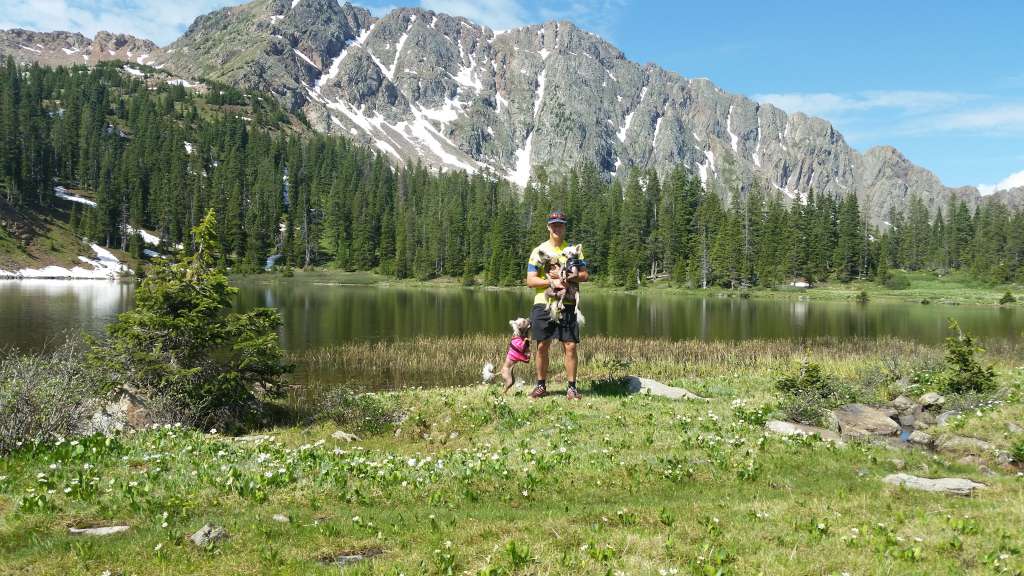 Golden Diamond Cresteds Vinz