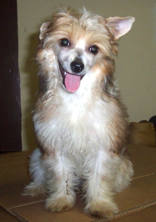 Kunoki's Tell Me Your Secret