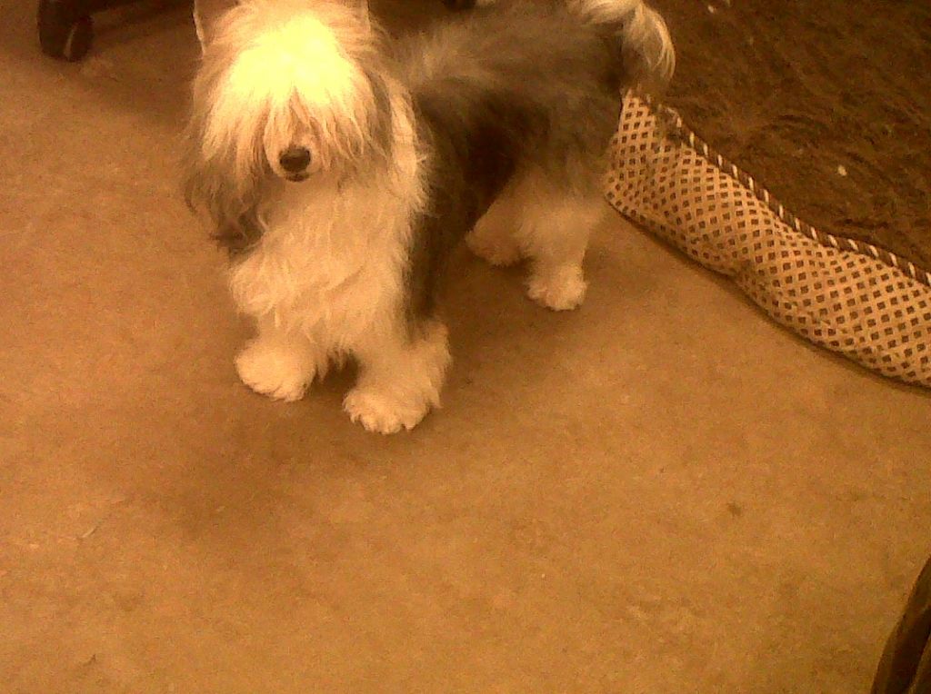 Babylon Godiva Aradia