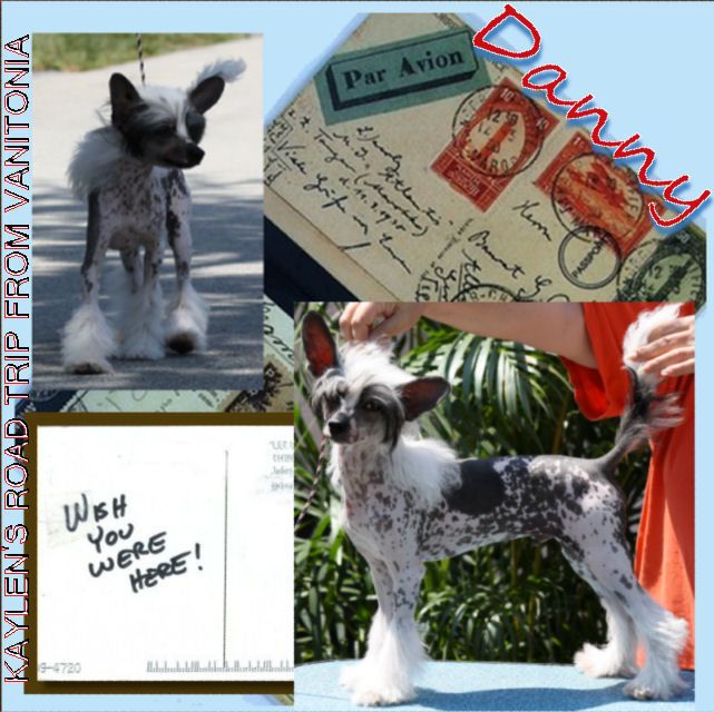 Kaylen's Road Trip from Vanitonia