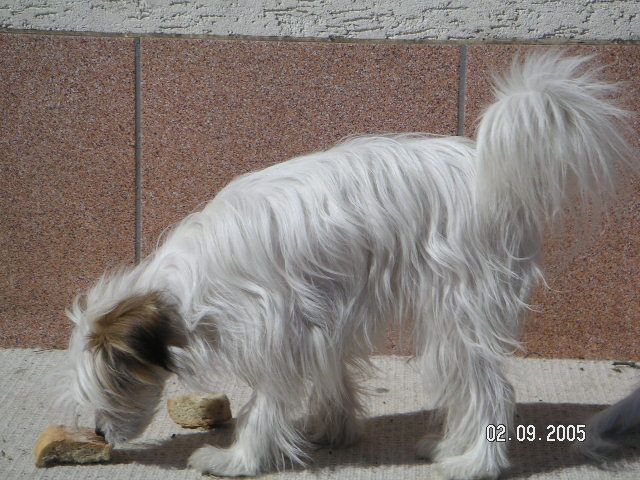 Picture