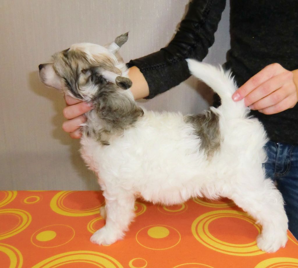 Baikal Dream Bruno Banani