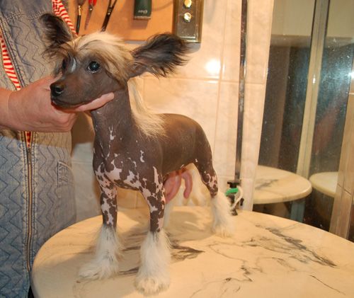 De La Mahafu's Mr Eso Espresso