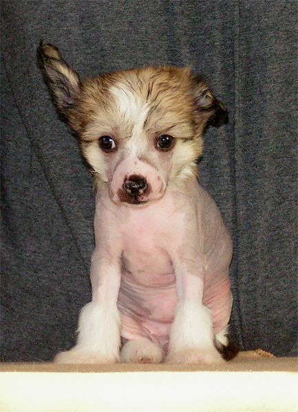 Picture