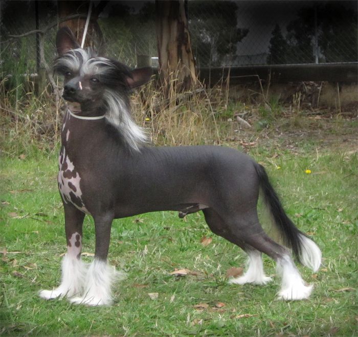 Entourage At The Paradise City