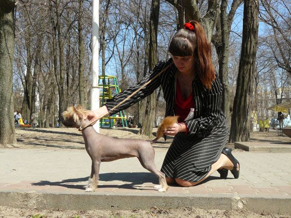 Fionita ot Volnogo Psa