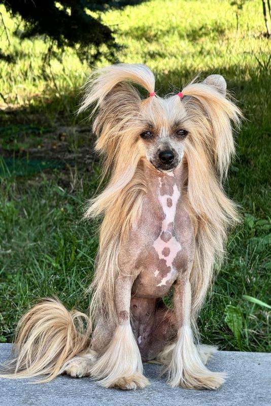 Incanto Del Mondo Ecstasy Effect