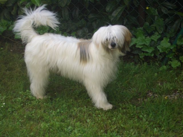 Kashmir Fantasy Island