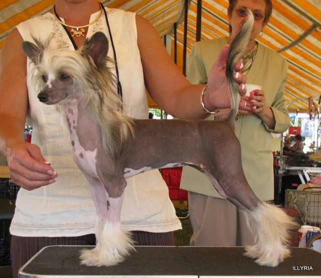 Tri-cas Next Top Model