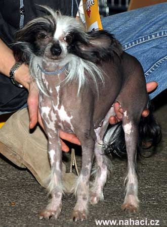 Picture