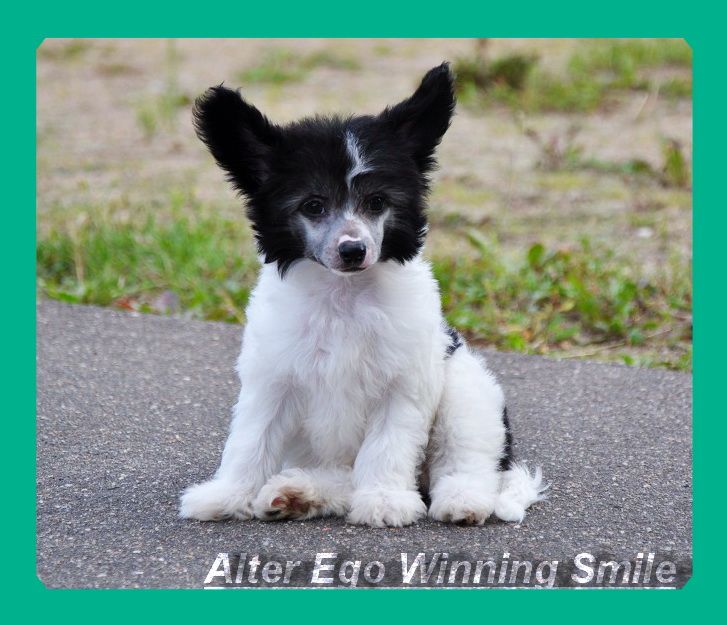 Alter Ego Winning Smile