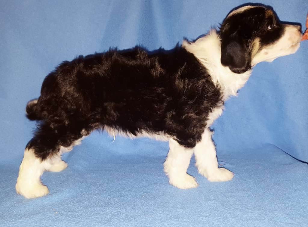 Andrakebyn's Beautiful World