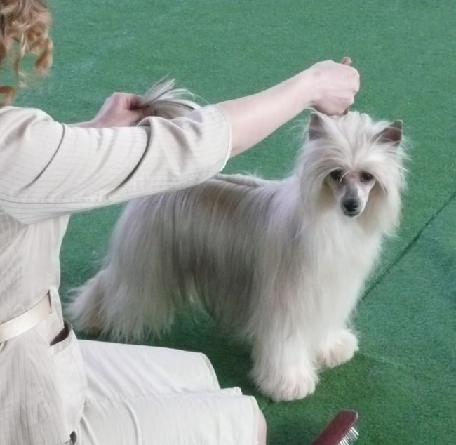 Shadow White Erotica Nababka