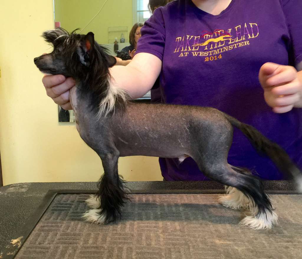 Stars at Sea Celebrate At Zhen