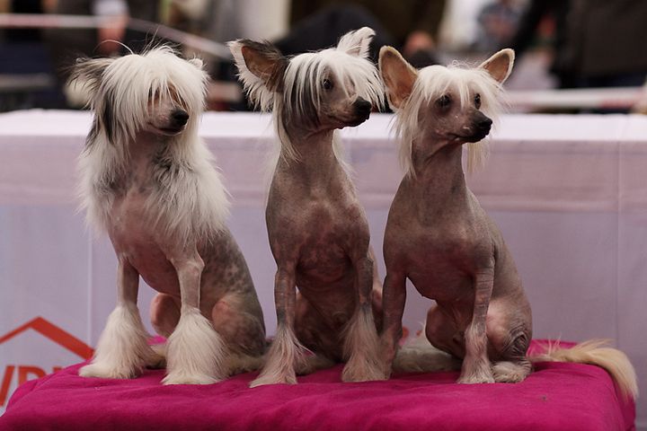 Picture